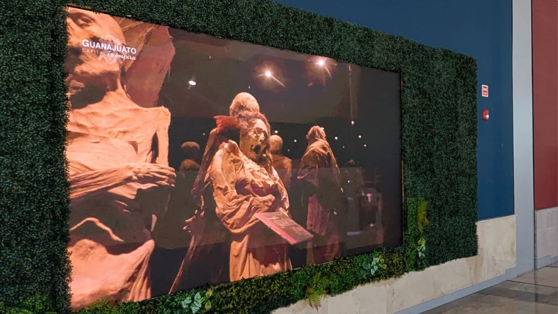 Special illustration