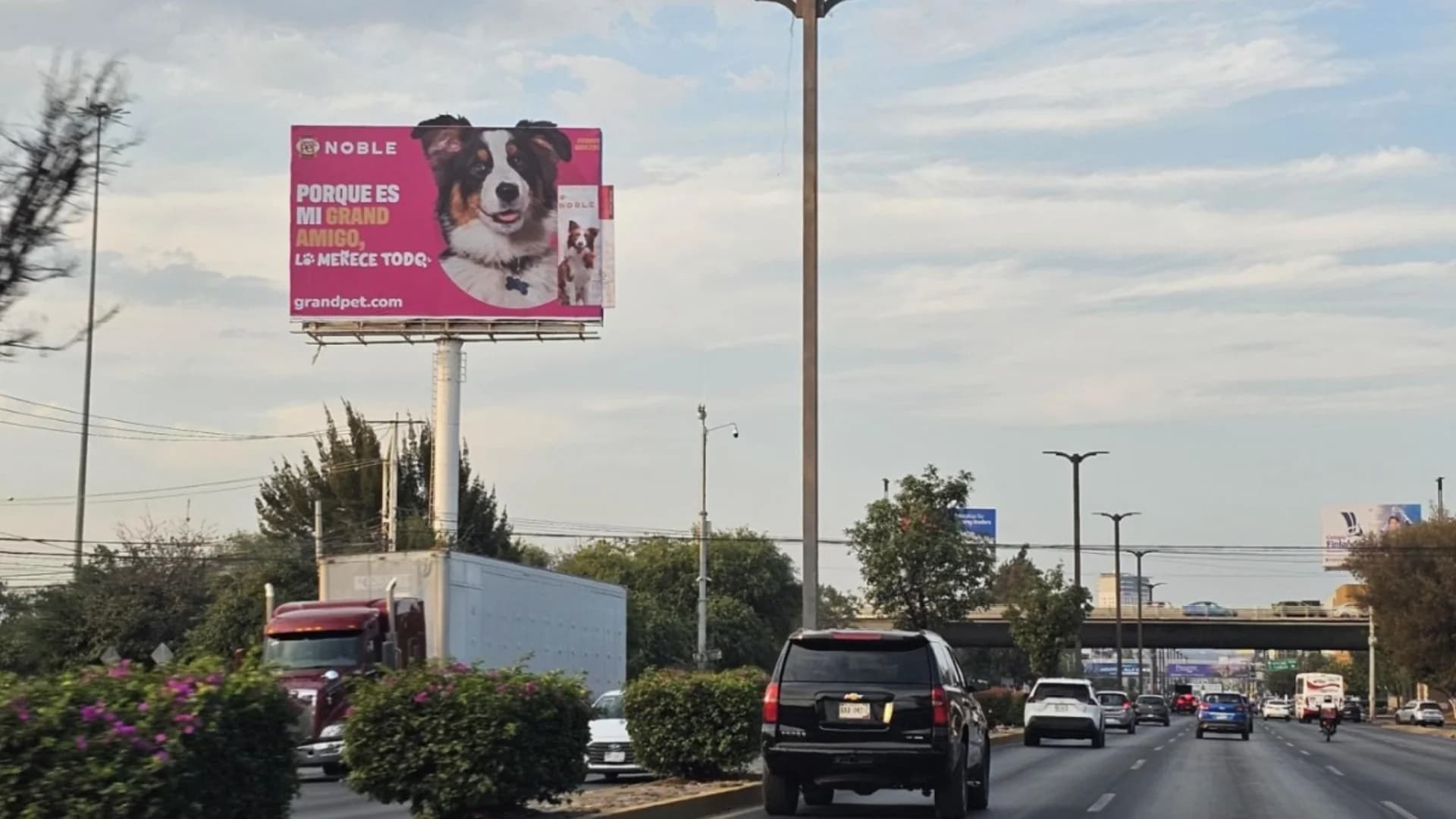 anuncio espectacular grand pet noble