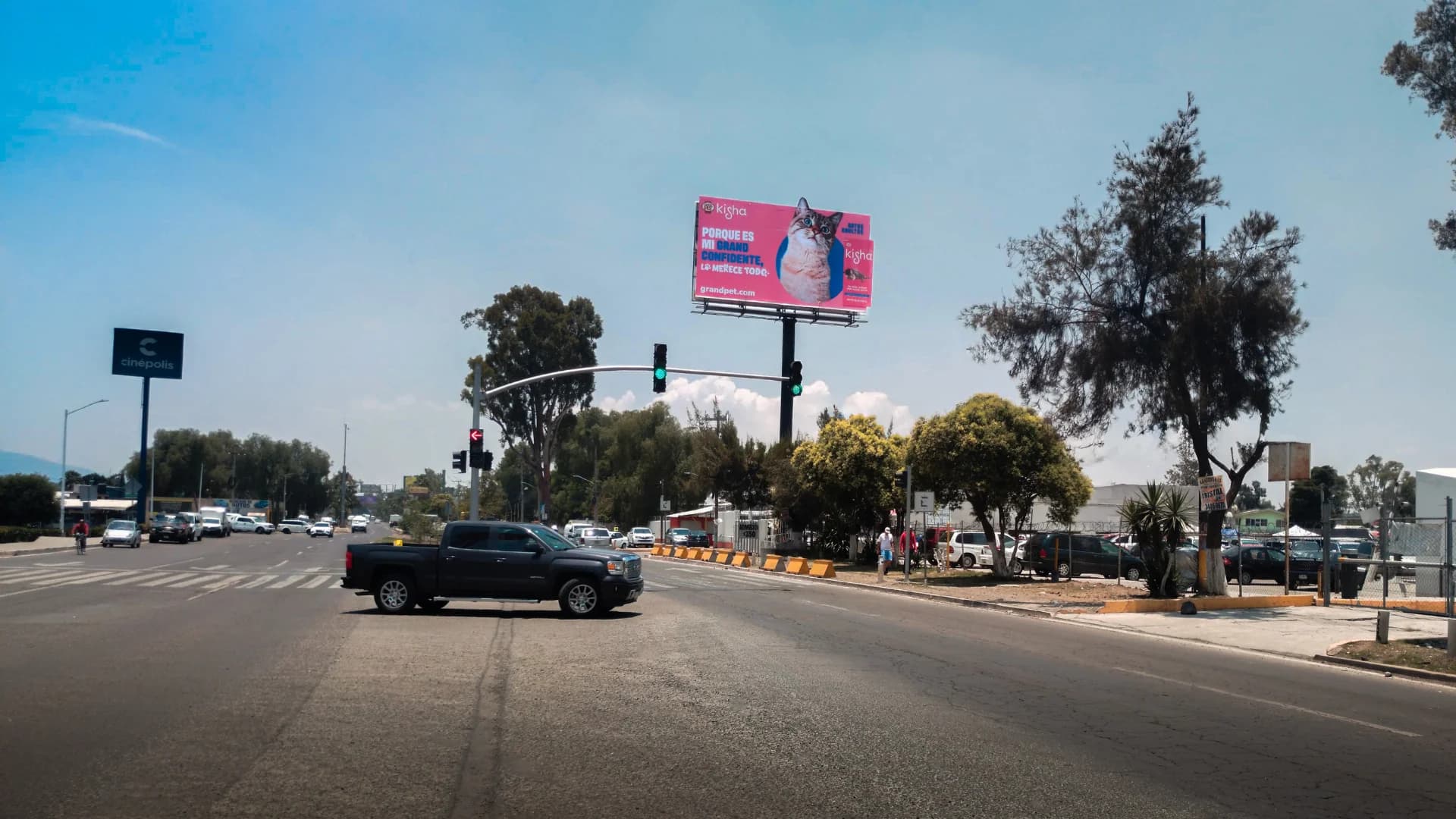 anuncio espectacular grand pet kisha